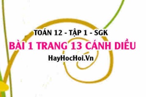 Bài 1 trang 13 Toán 12 tập 1 Cánh Diều